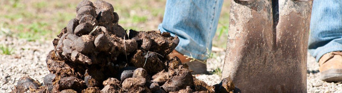 Manure-header