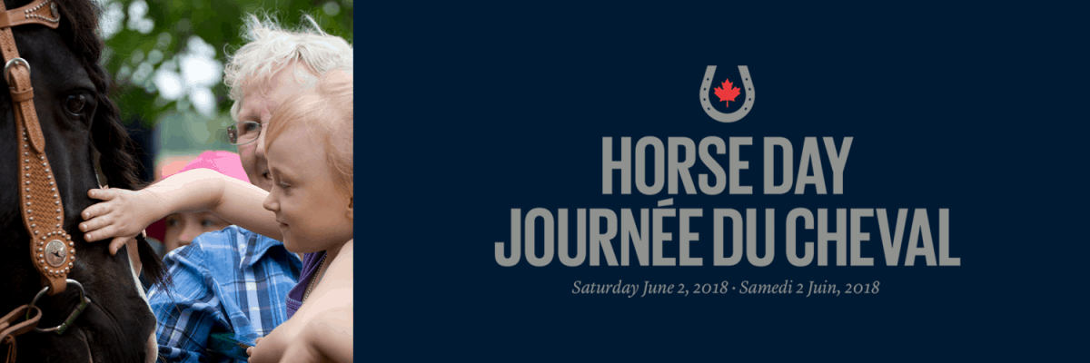twitter_HorseDay2018