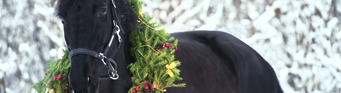 Christmas shopping guide